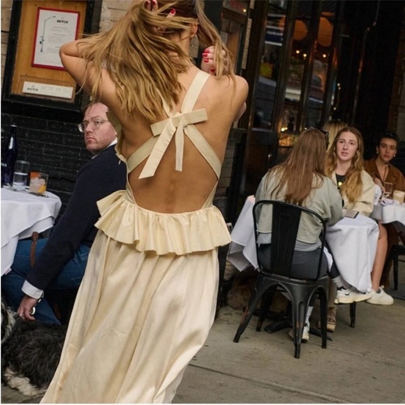 Doen Elouise Silk Dress Mother Of Pearl NWT - Picture 5 of 13